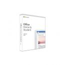 Microsoft Office Home & Student 2019, Medialess, English, FPP ESD